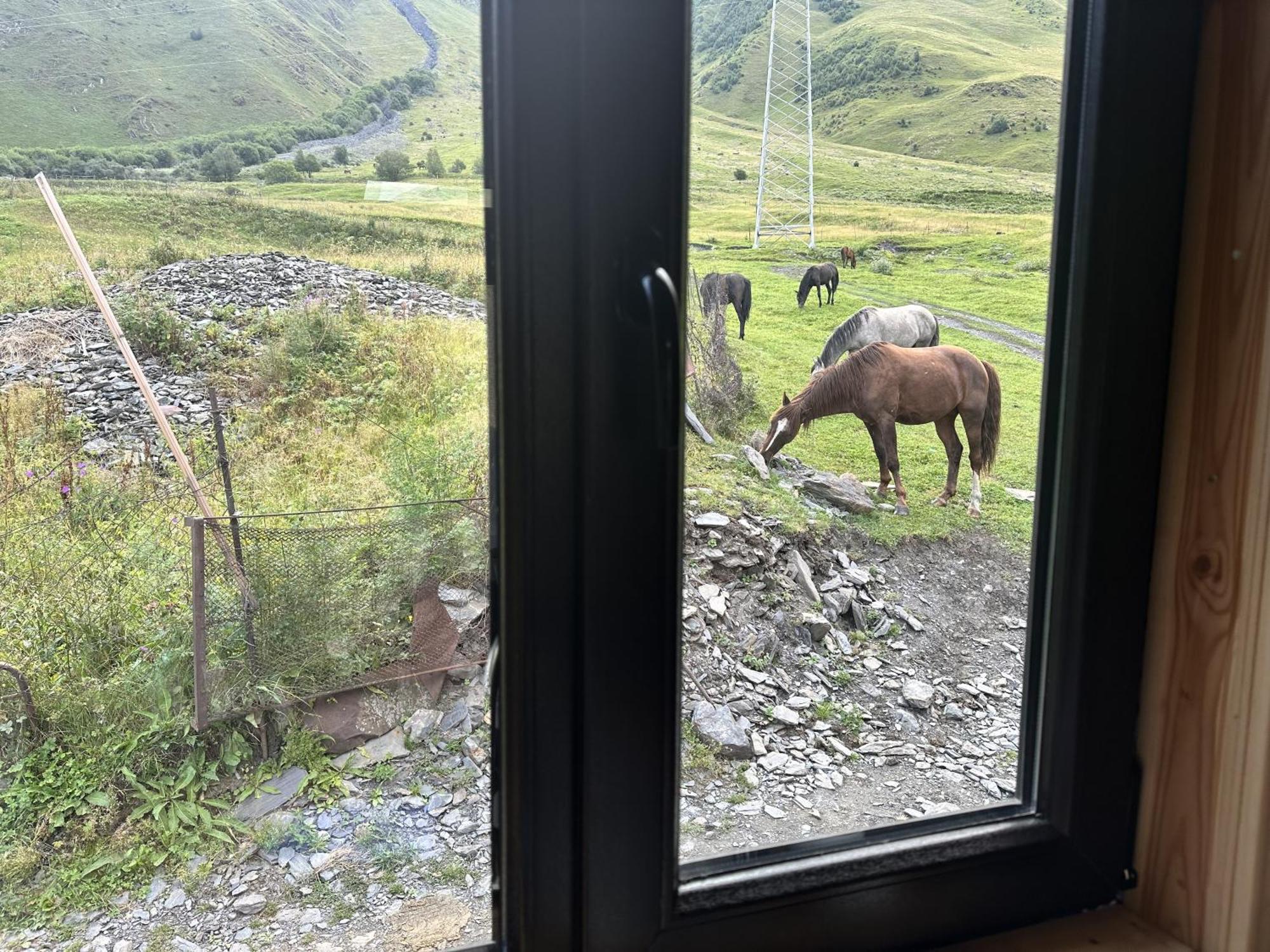 A&B Cottages 카즈베기 외부 사진